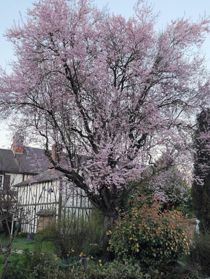 Les Gites De L'Herperie Blicourt Exterior foto